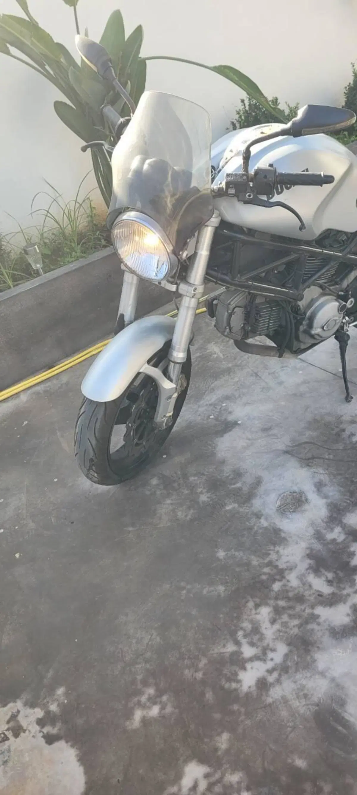 Ducati Monster 400 (2000 - 02) (6)