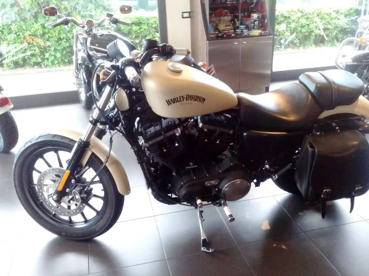 Harley-Davidson 883 Iron (2014 - 16) - XL 883N