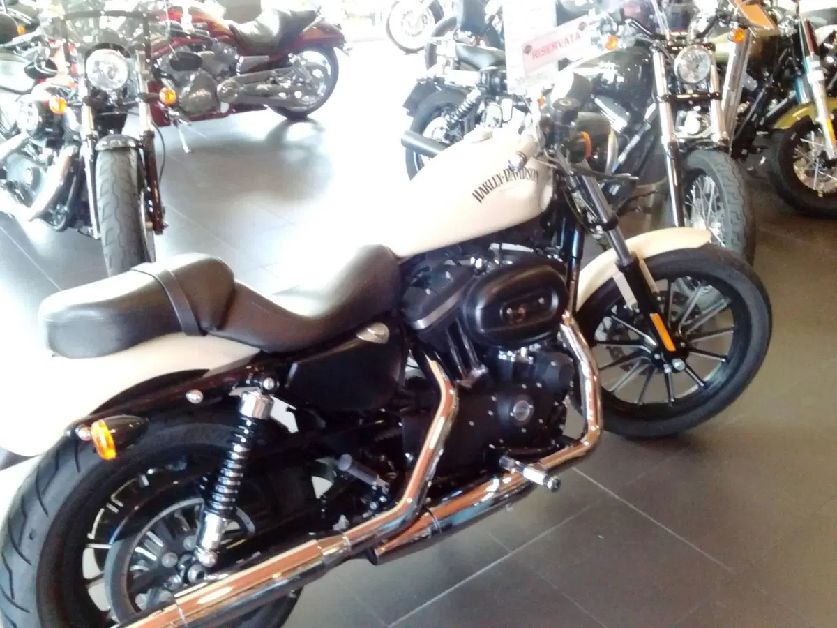 Harley-Davidson 883 Iron (2014 - 16) - XL 883N (4)