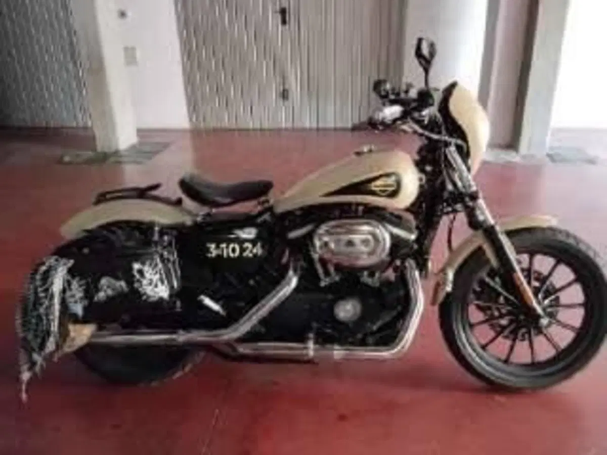 Harley-Davidson 883 Iron (2014 - 16) - XL 883N (8)