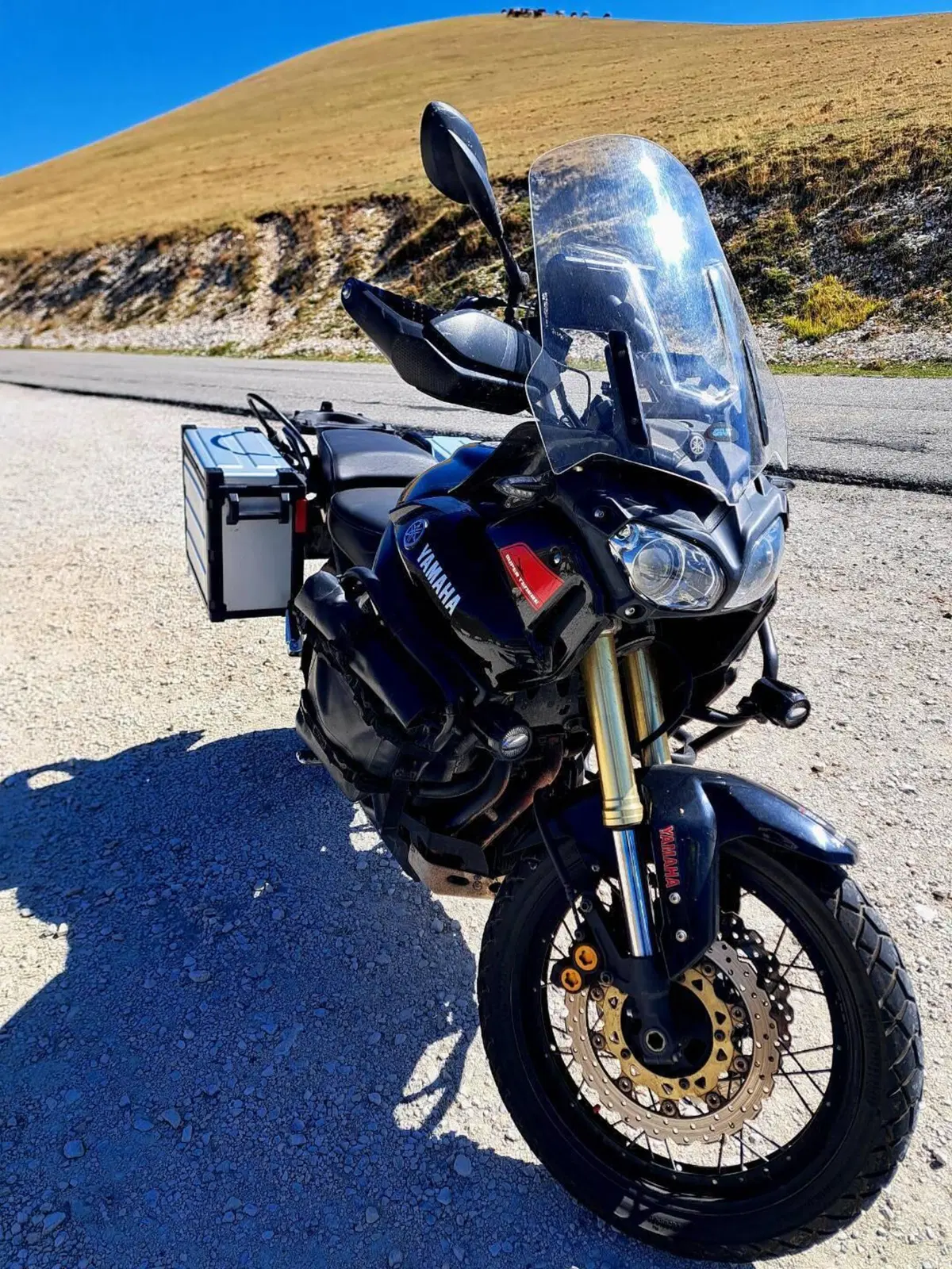 Yamaha XT1200Z Super Ténéré Worldcrosser (2012 - 14) (10)