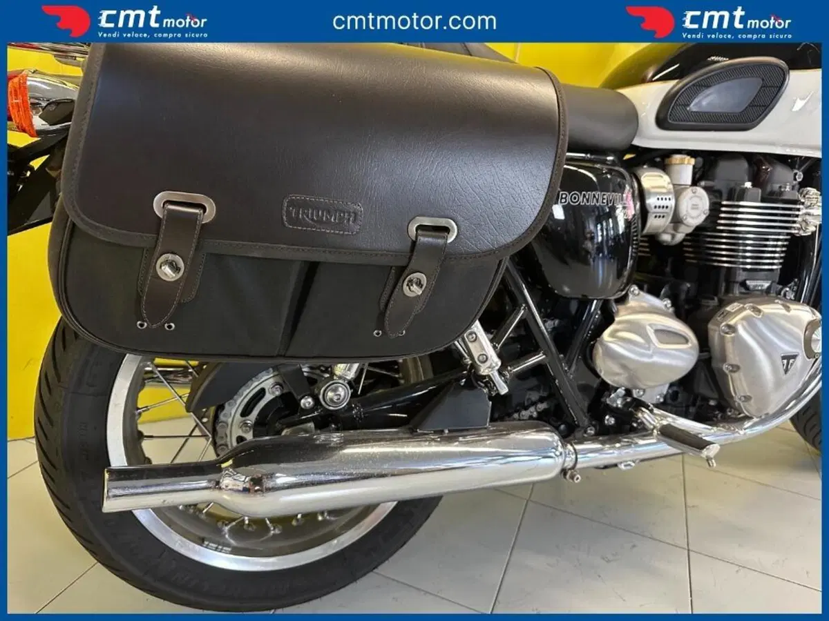 Triumph Bonneville T120 Icon Edition (2025 - 26) (10)