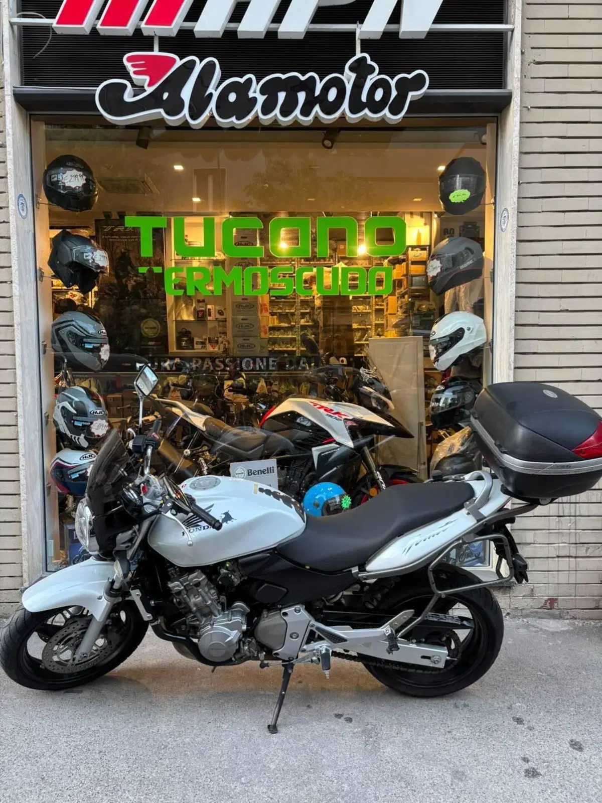 Honda Hornet 600 (2003 - 04) (3)