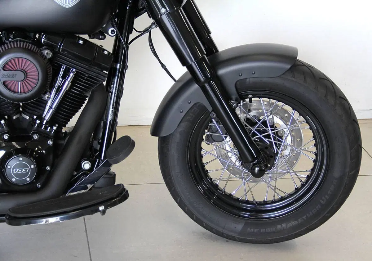 Harley-Davidson 1690 Slim (2011 - 16) - FLS (2)