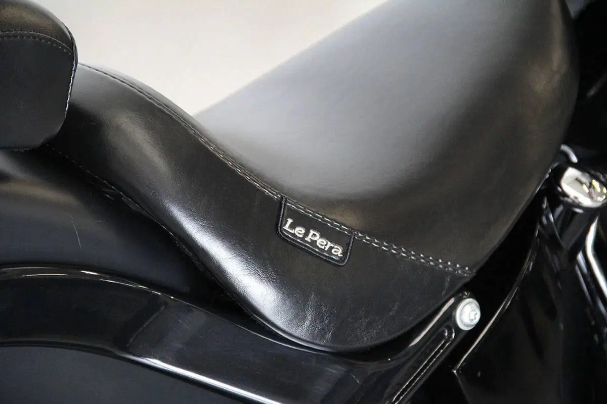 Harley-Davidson 1690 Slim (2011 - 16) - FLS (9)