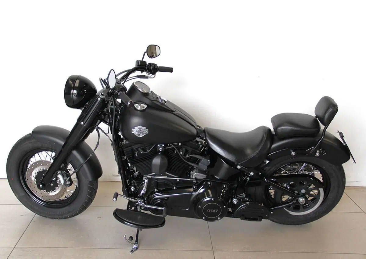 Harley-Davidson 1690 Slim (2011 - 16) - FLS (12)