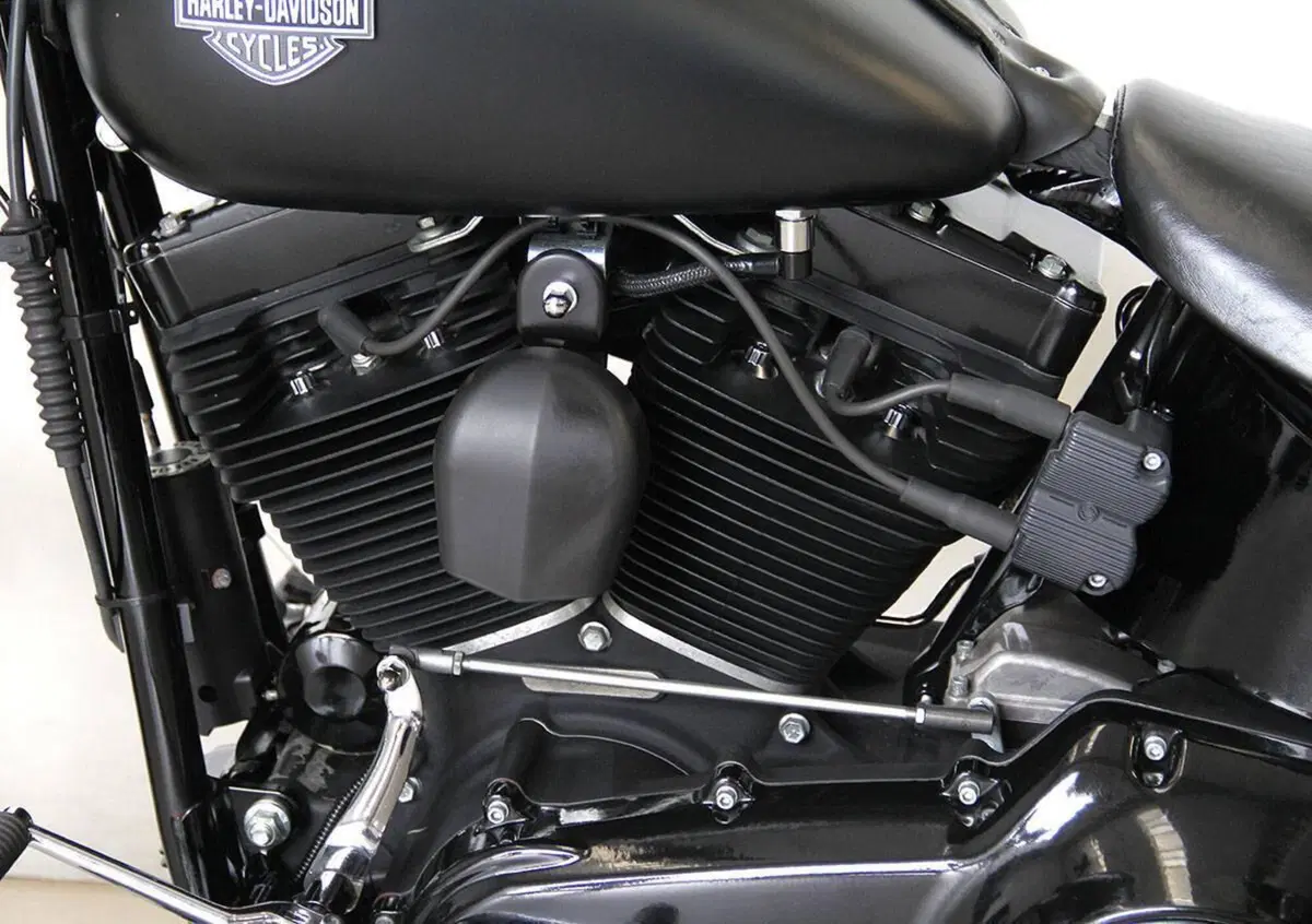 Harley-Davidson 1690 Slim (2011 - 16) - FLS (14)