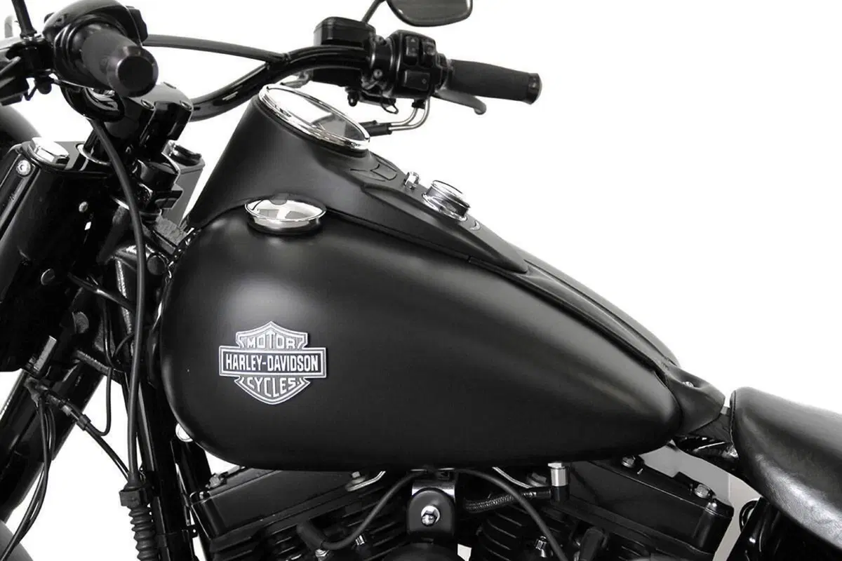 Harley-Davidson 1690 Slim (2011 - 16) - FLS (15)