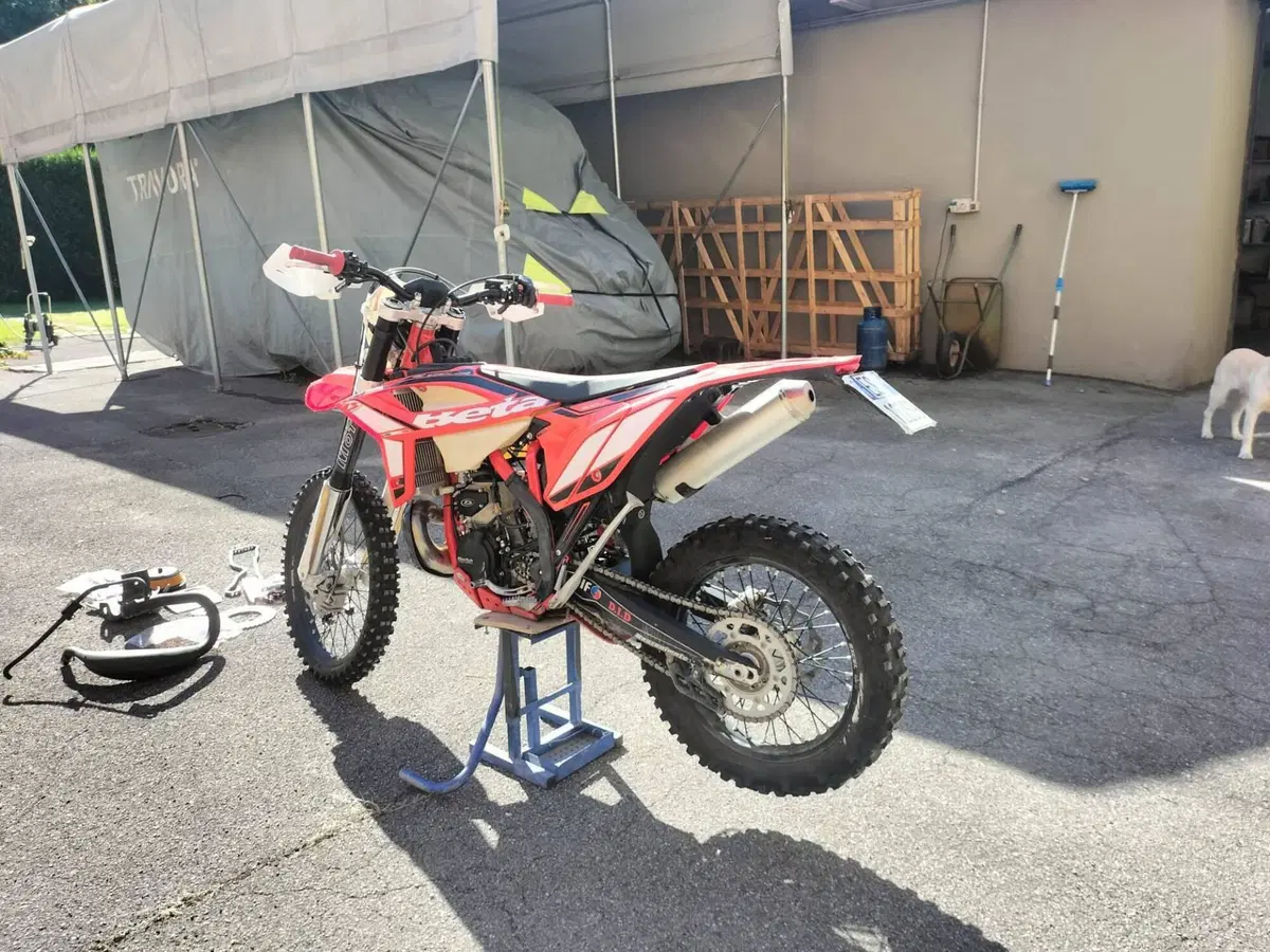 Betamotor RR 300 2T Enduro (2021) (3)