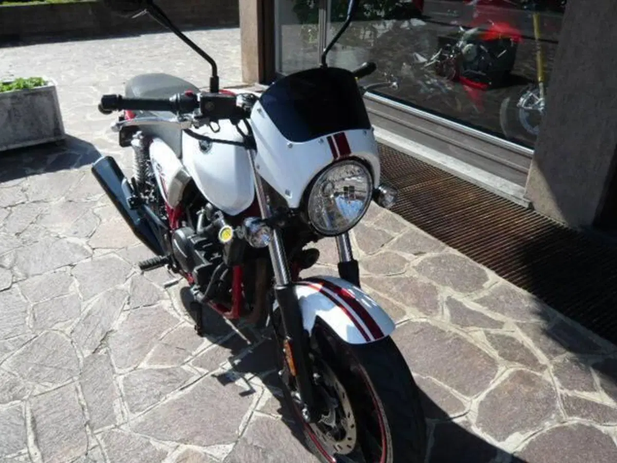 Sym Wolf CR 300 (2019 - 20) (2)