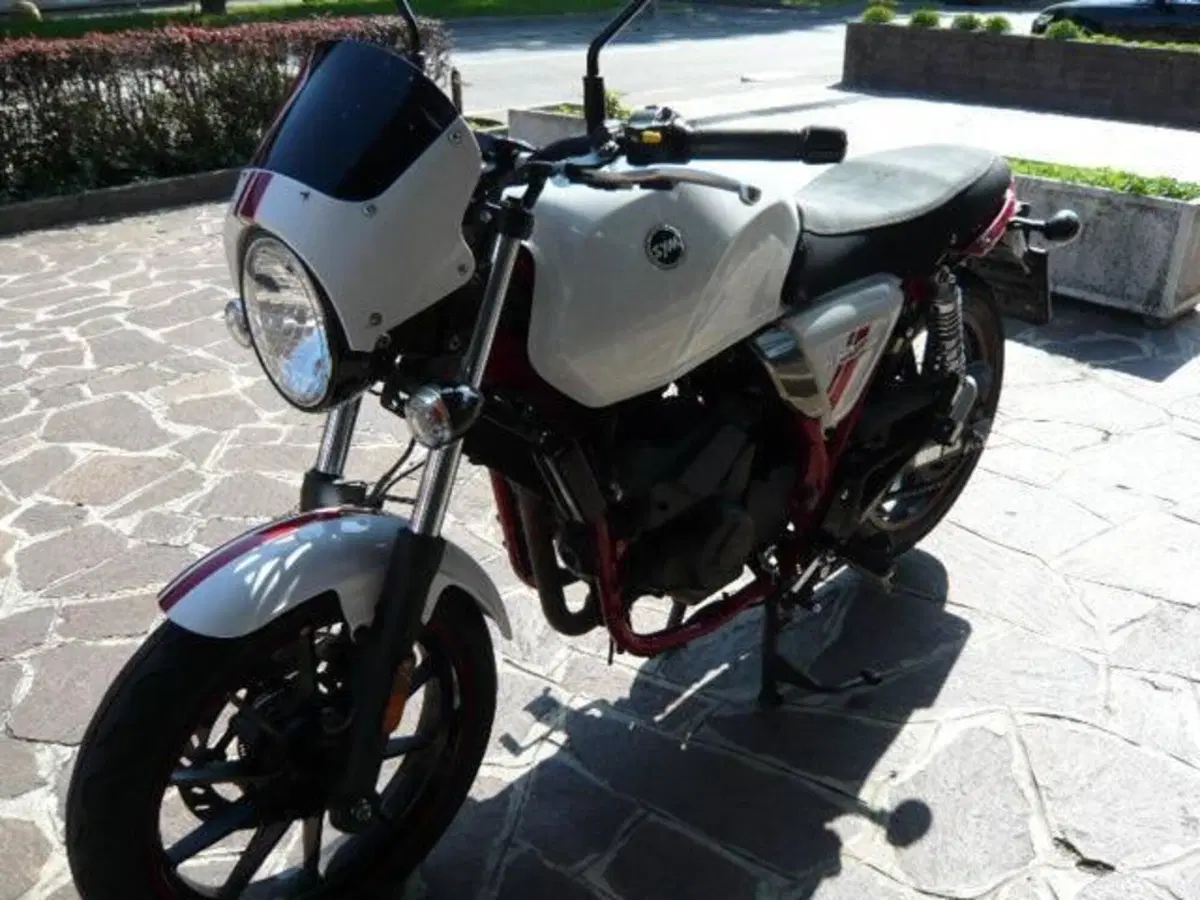 Sym Wolf CR 300 (2019 - 20) (3)