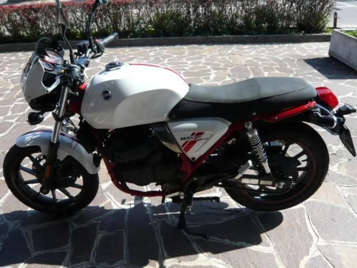 Sym Wolf CR 300 (2019 - 20) (4)