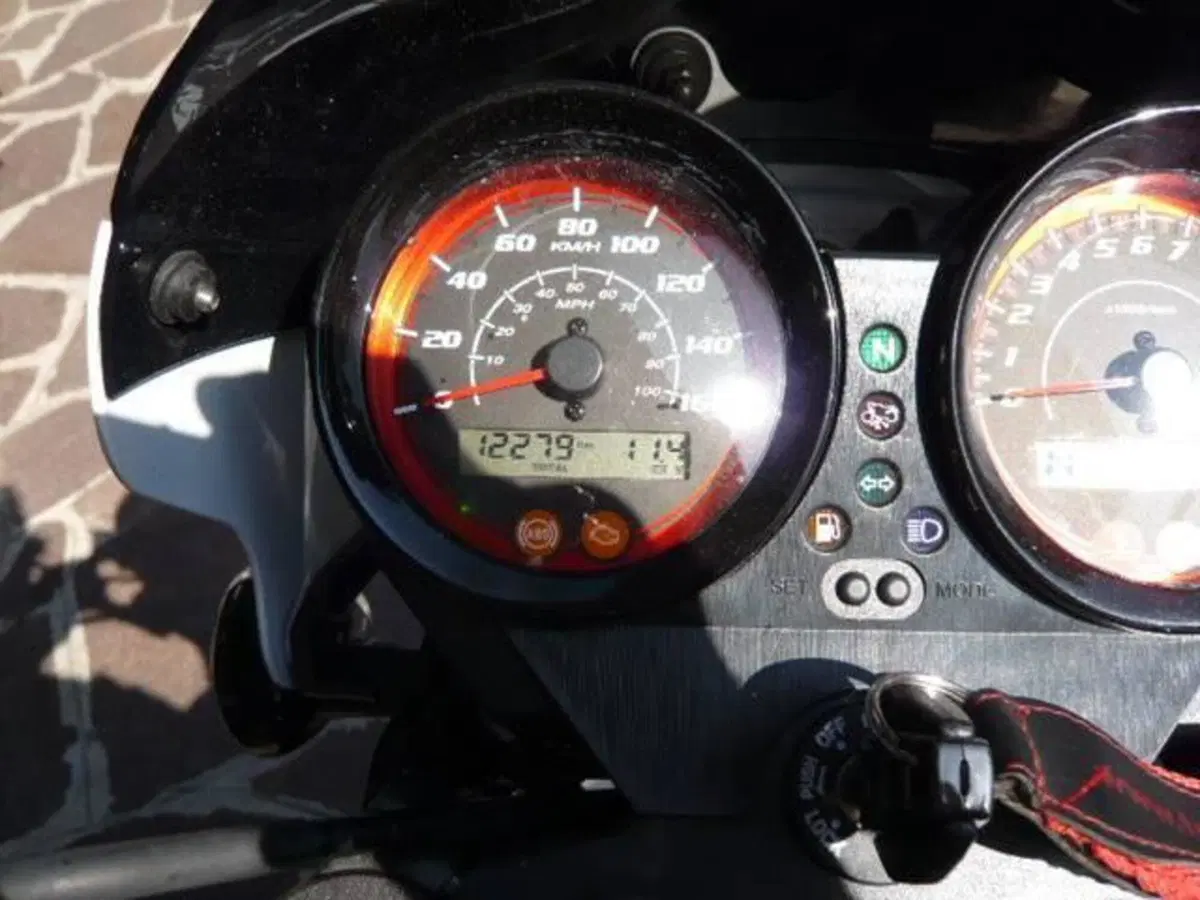 Sym Wolf CR 300 (2019 - 20) (5)