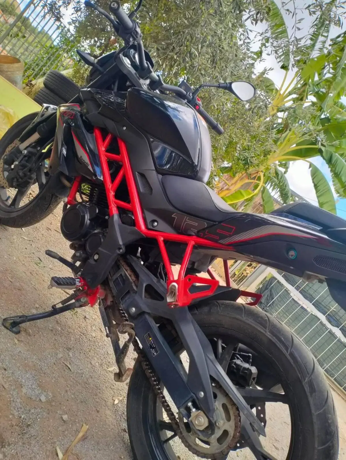 Benelli BN 125 (2021 - 25) (2)