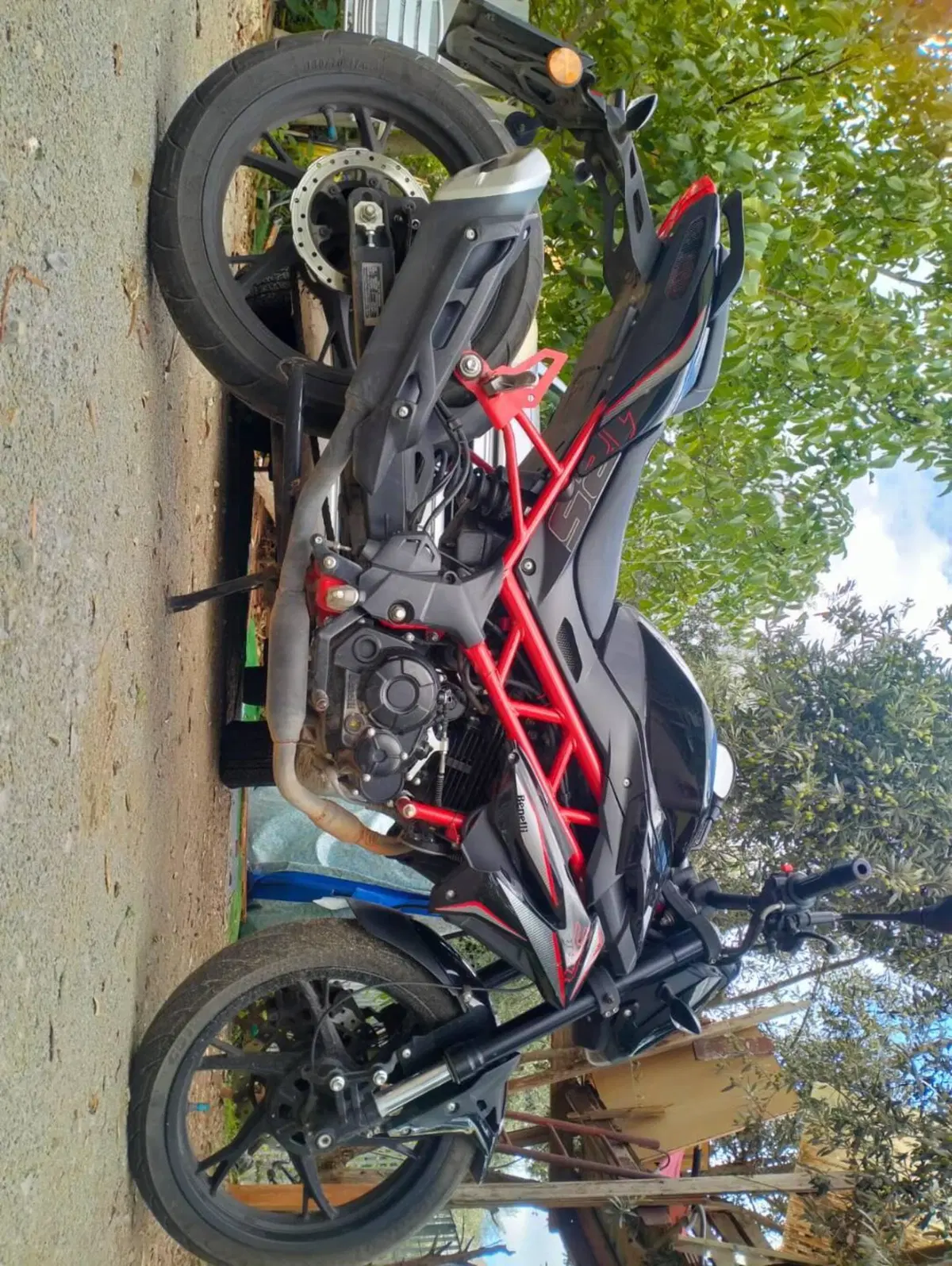 Benelli BN 125 (2021 - 25) (3)