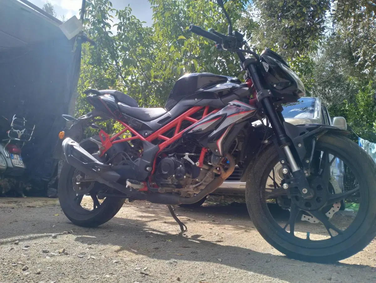Benelli BN 125 (2021 - 25) (5)