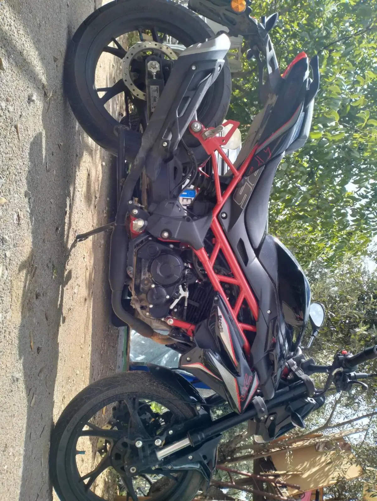 Benelli BN 125 (2021 - 25) (6)