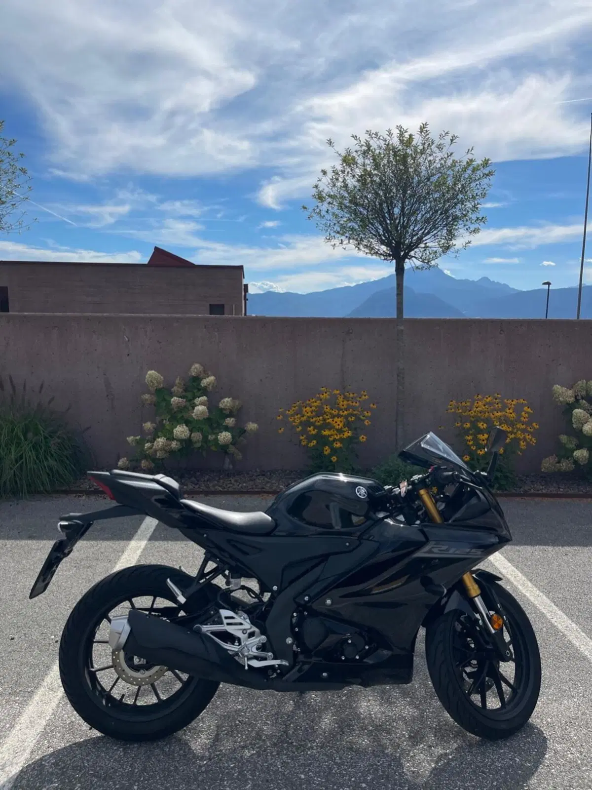 Yamaha YZF R125 (2023 - 26)
