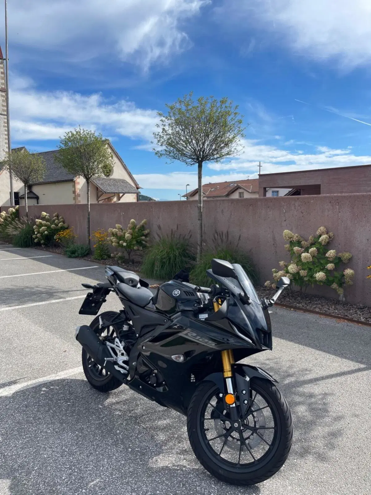 Yamaha YZF R125 (2023 - 26) (2)