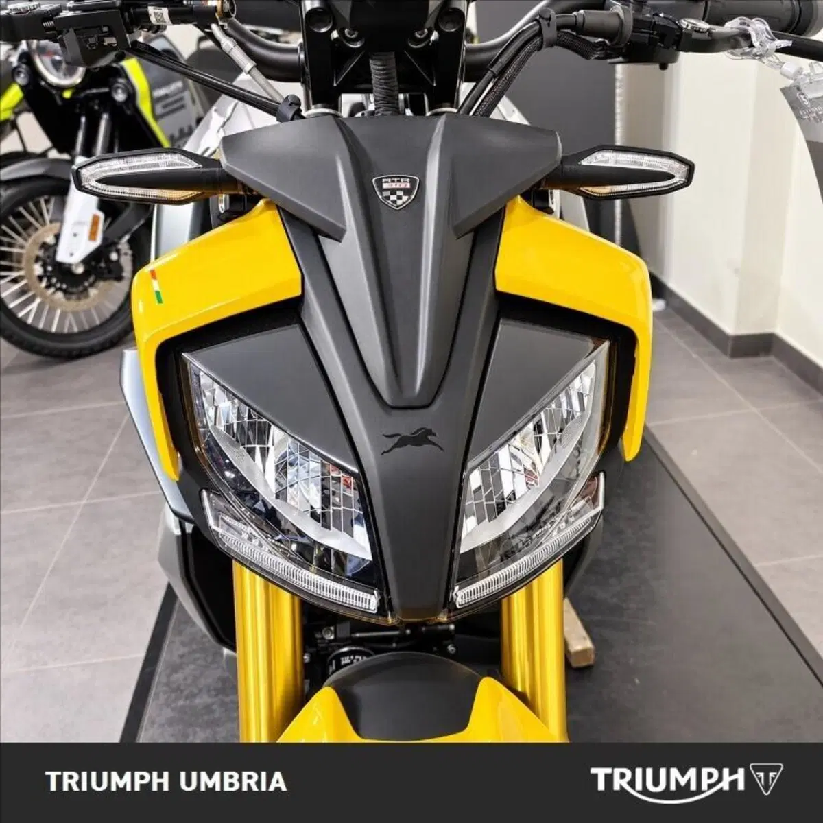 TVS Motor RTR 310 (2024 - 26) (9)