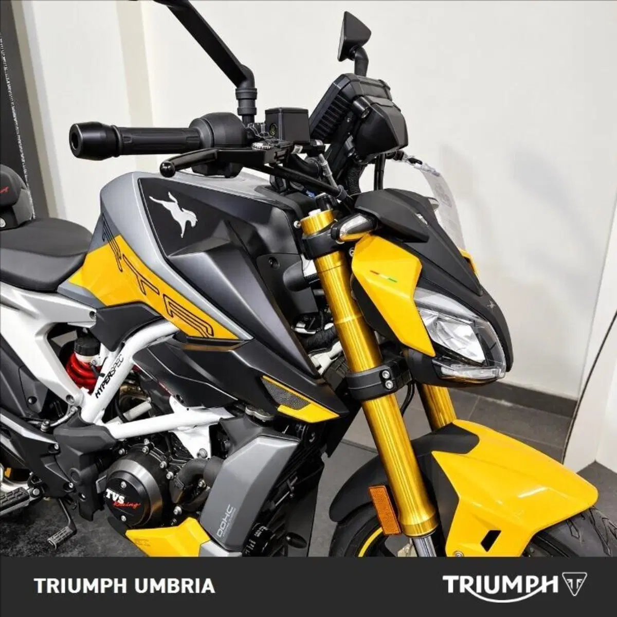 TVS Motor RTR 310 (2024 - 26) (11)