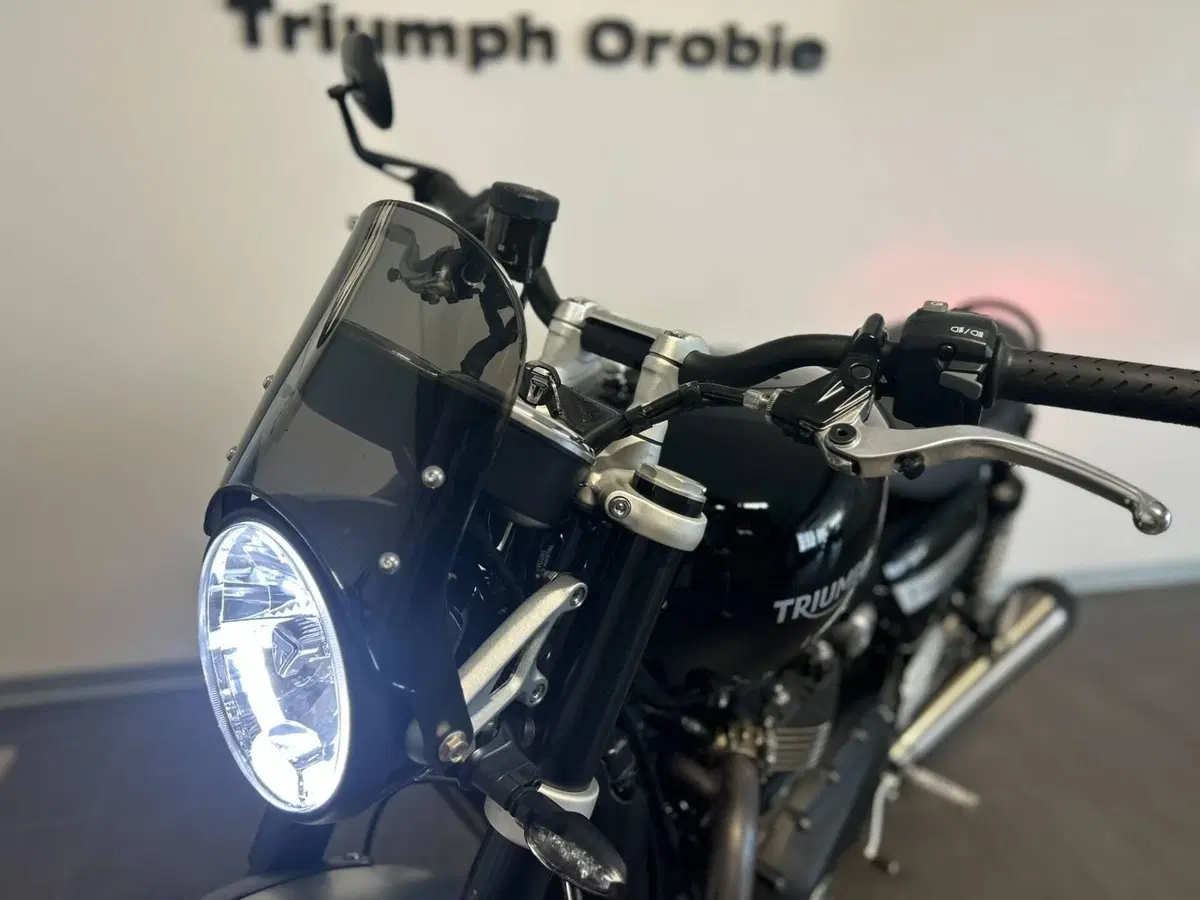 Triumph Speed Twin 1200 (2021 - 24) (6)