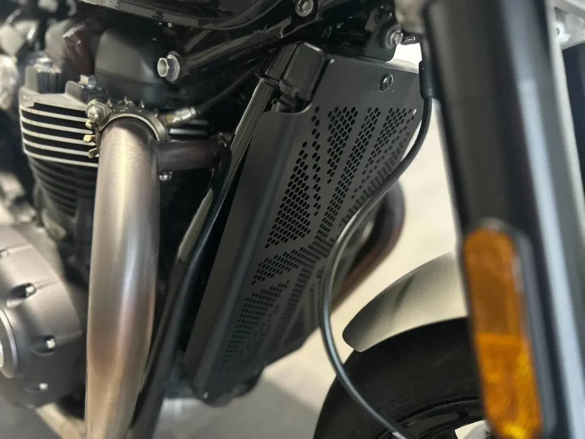 Triumph Speed Twin 1200 (2021 - 24) (10)