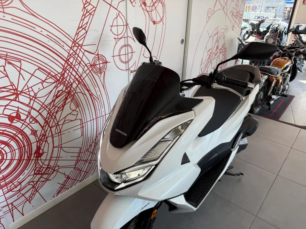 Honda PCX 125 (2021 - 24) (14)
