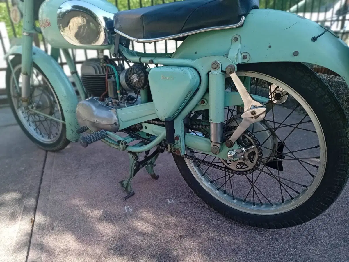 Bianchi Freccia celeste  (4)