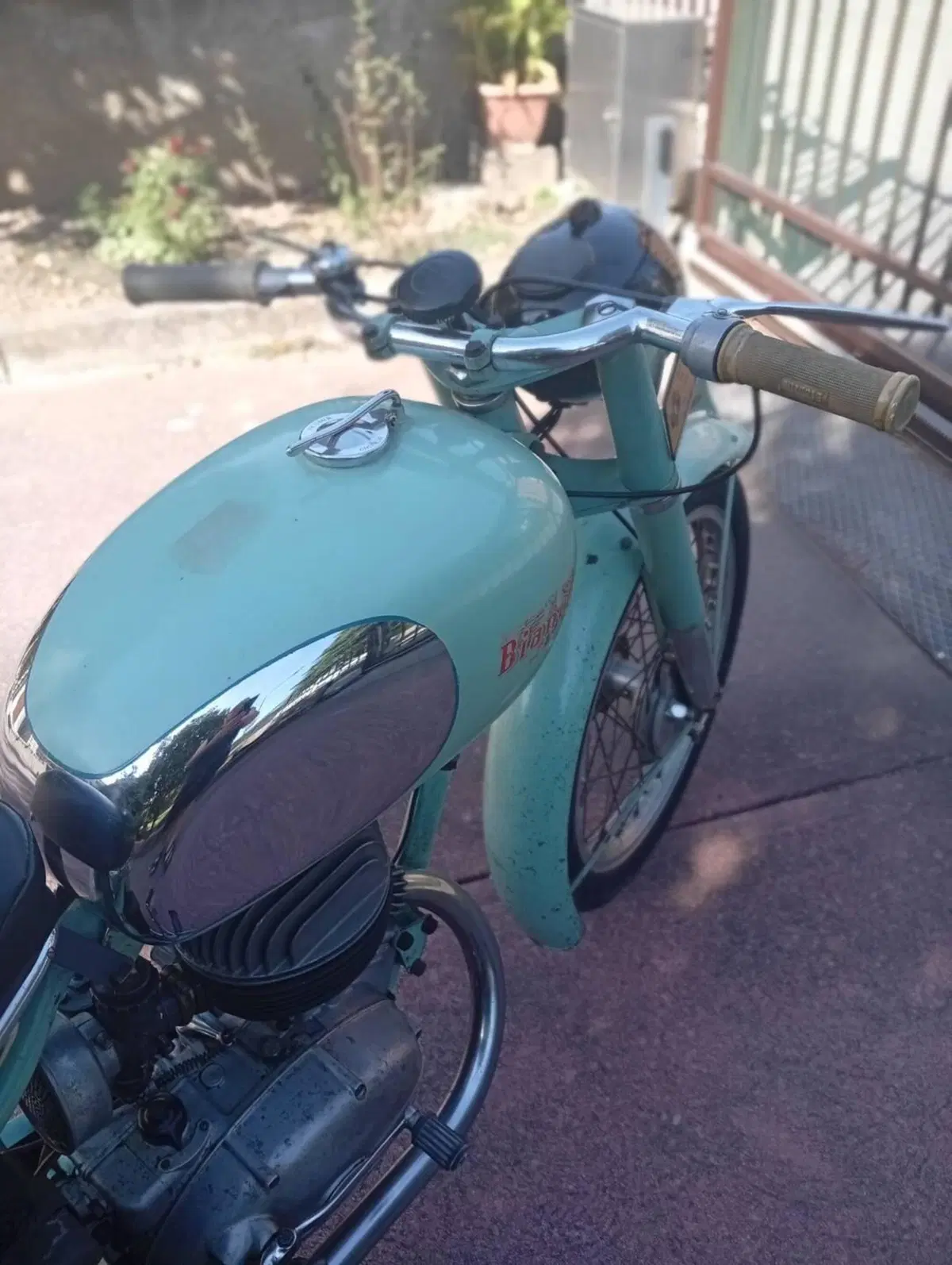 Bianchi Freccia celeste  (10)