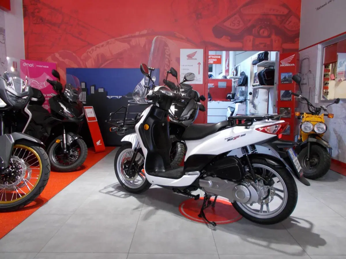 Sym Symphony 125 Cargo (2025 - 26) (5)