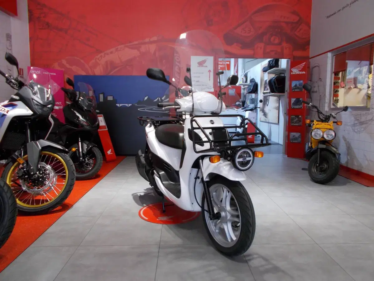 Sym Symphony 125 Cargo (2025 - 26) (7)