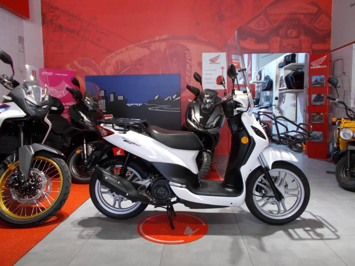 Sym Symphony 125 Cargo (2025 - 26) (9)