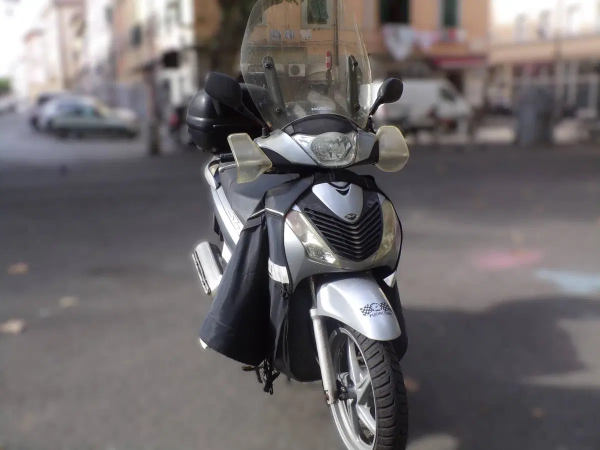 Honda SH 125 i (2009 - 12) (14)