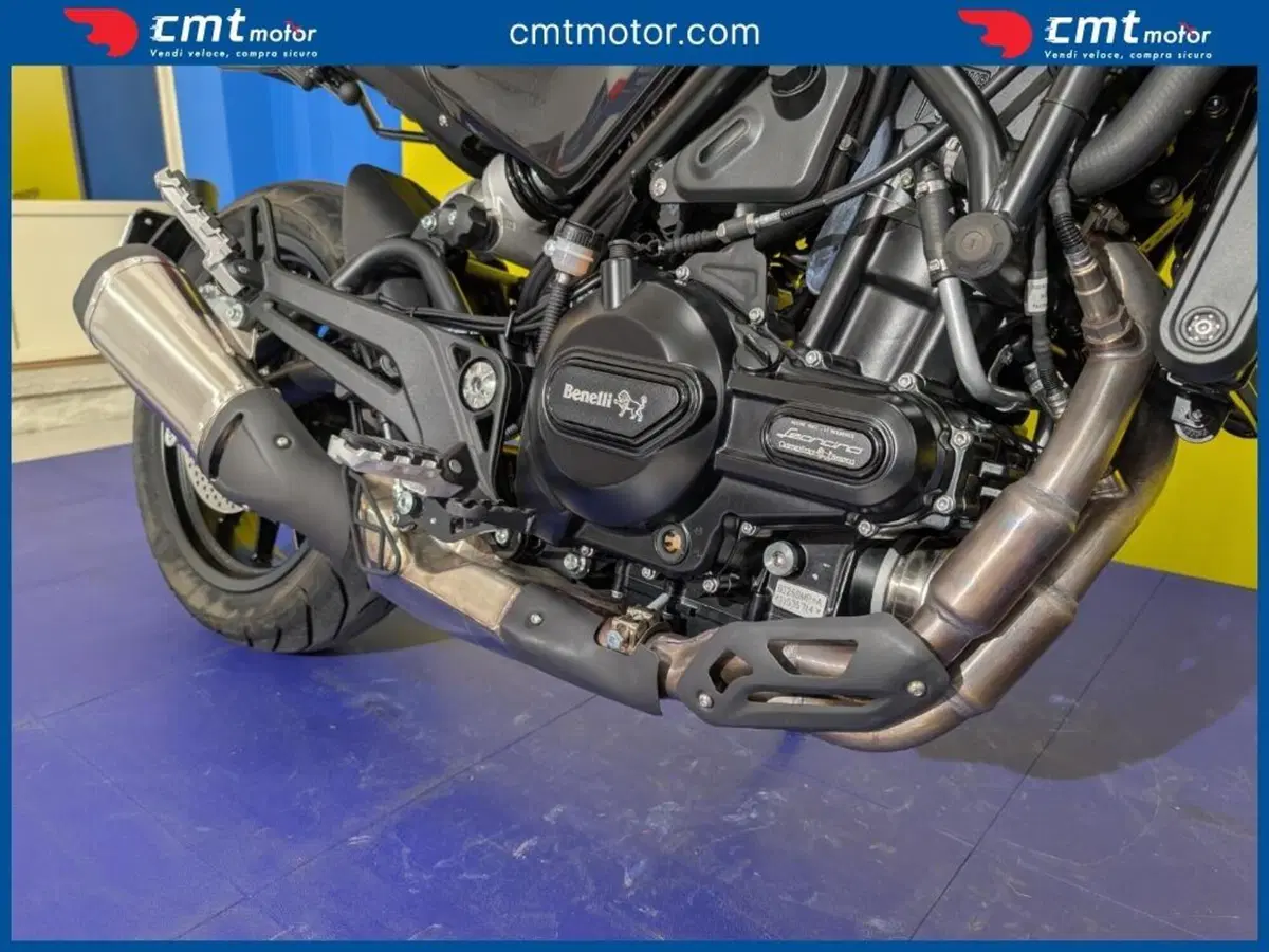 Benelli Leoncino 500 (2021 - 25) (11)