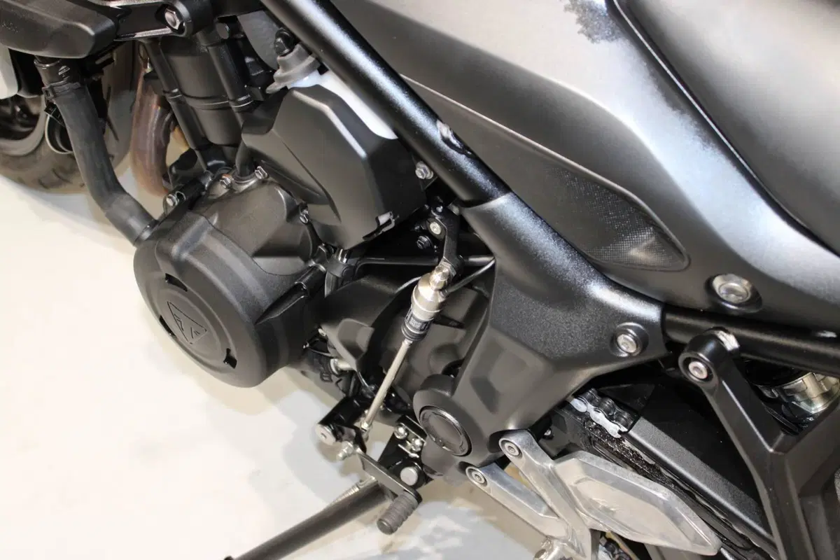 Triumph Trident 660 (2021 - 24) (7)