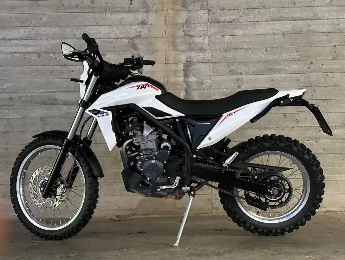 Betamotor Alp 4.0 (2024 - 26)