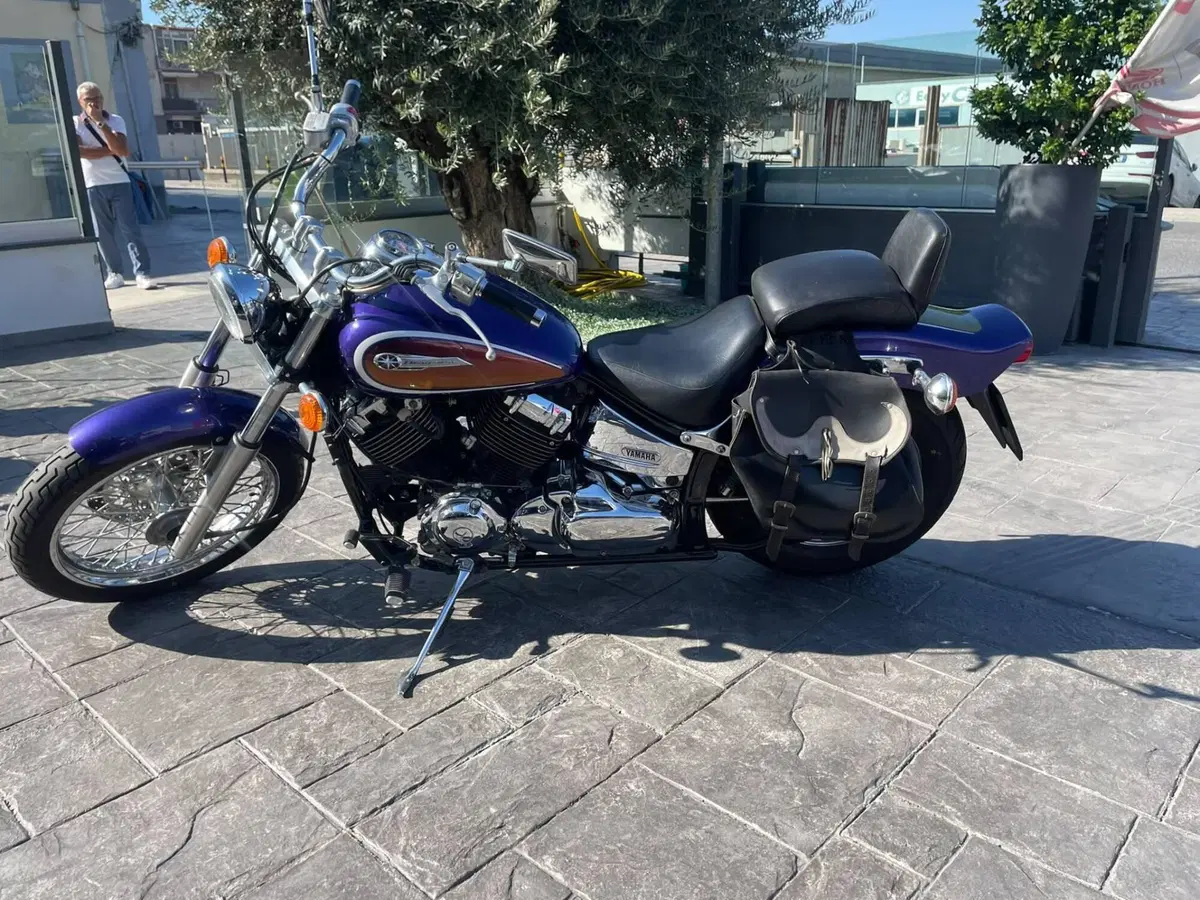 Yamaha XVS 650 Drag Star (1997 - 05) (5)