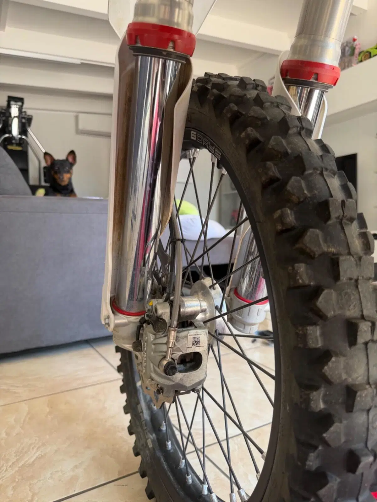 KTM 250 EXC-F Six Days (2023) (7)