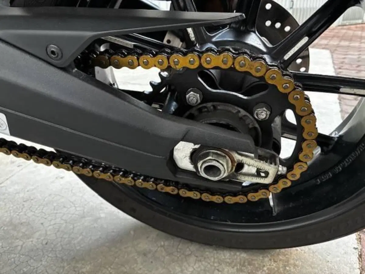 Ducati Scrambler 1100 Sport (2018 - 20)
