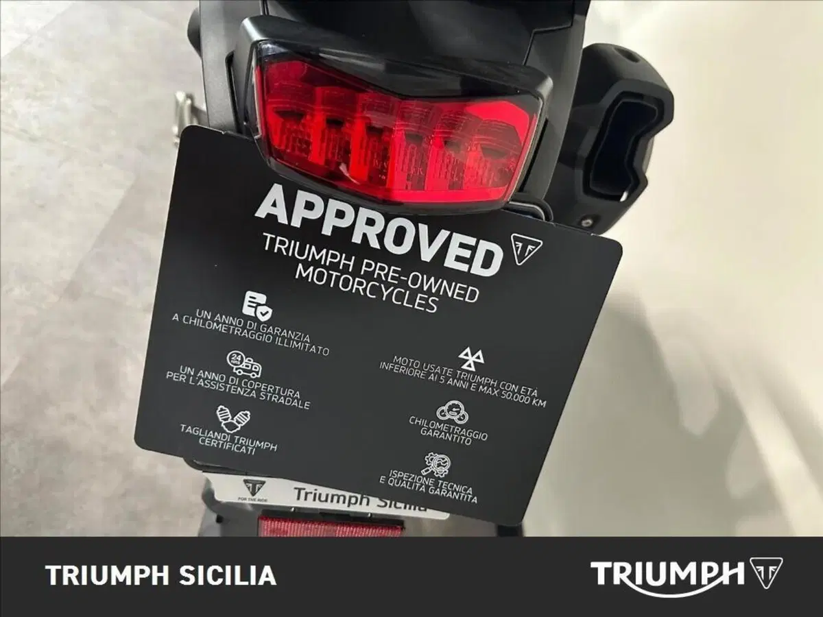 Triumph Tiger 1200 Rally Pro (2024 - 26) (10)