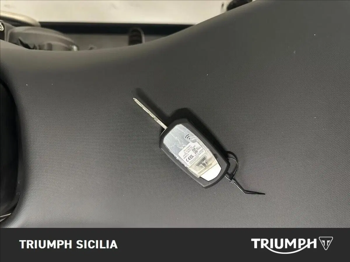 Triumph Tiger 1200 Rally Pro (2024 - 26) (13)