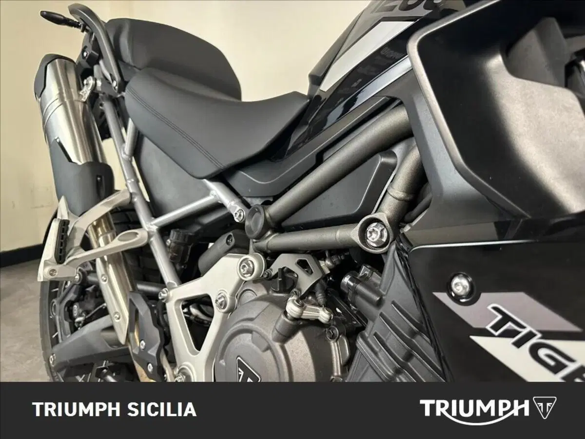 Triumph Tiger 1200 Rally Pro (2024 - 26) (7)