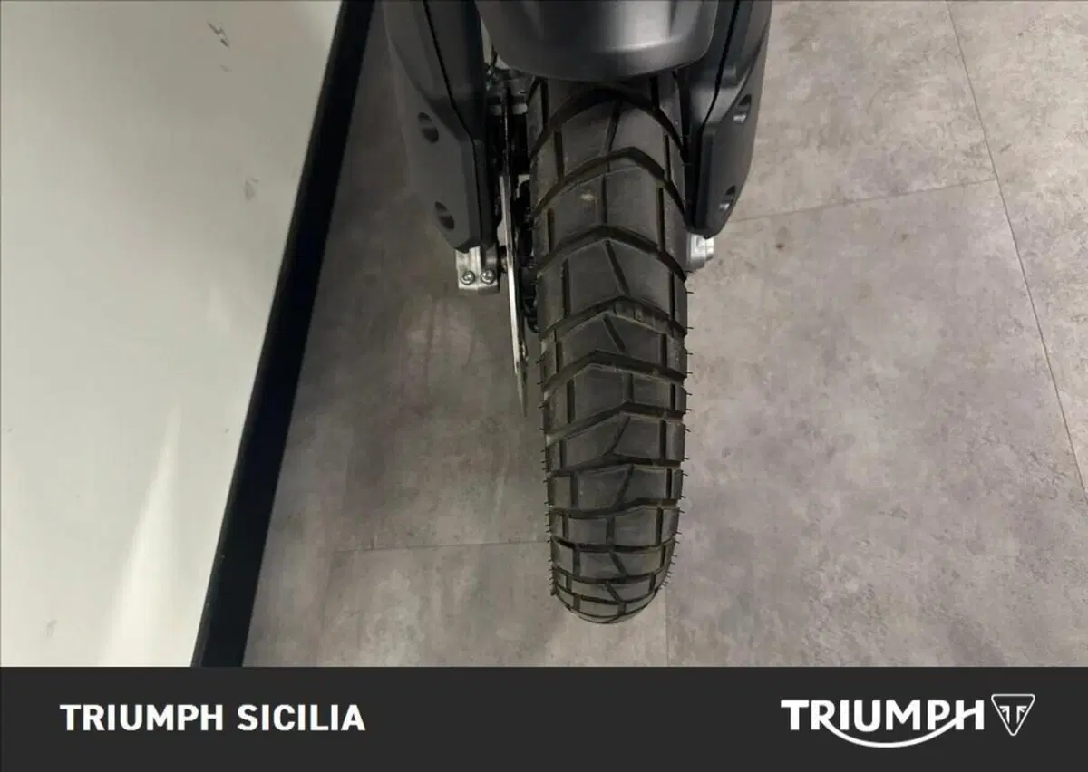 Triumph Tiger 1200 Rally Pro (2024 - 26) (14)