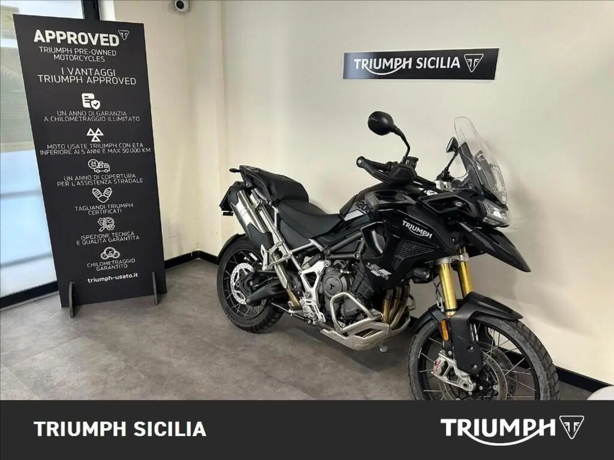 Triumph Tiger 1200 Rally Pro (2024 - 26) (2)