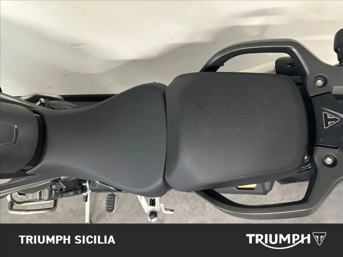 Triumph Tiger 1200 Rally Pro (2024 - 26) (12)