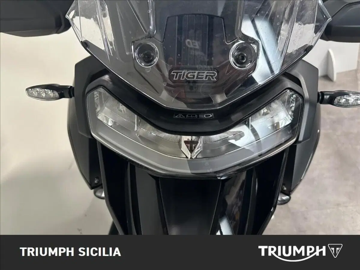 Triumph Tiger 1200 Rally Pro (2024 - 26) (15)