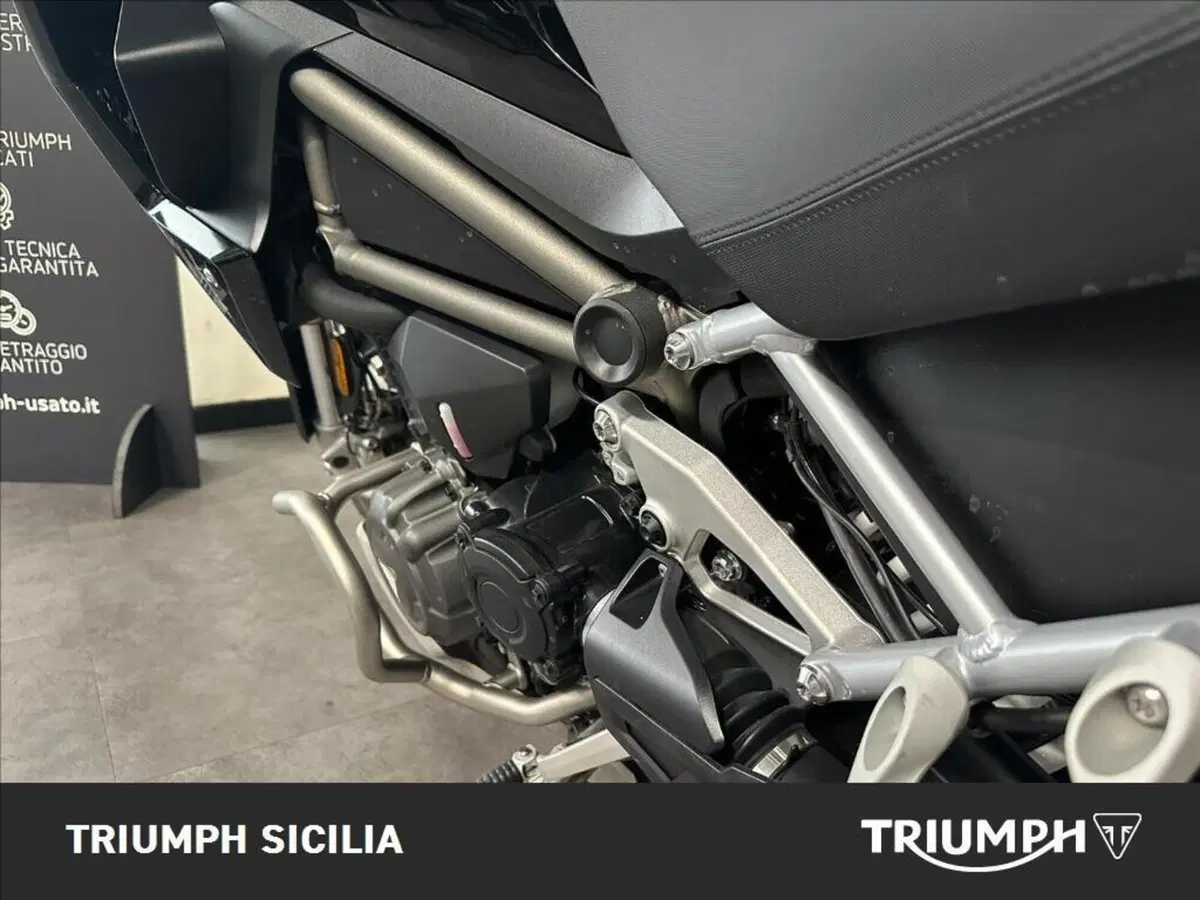 Triumph Tiger 1200 Rally Pro (2024 - 26) (9)