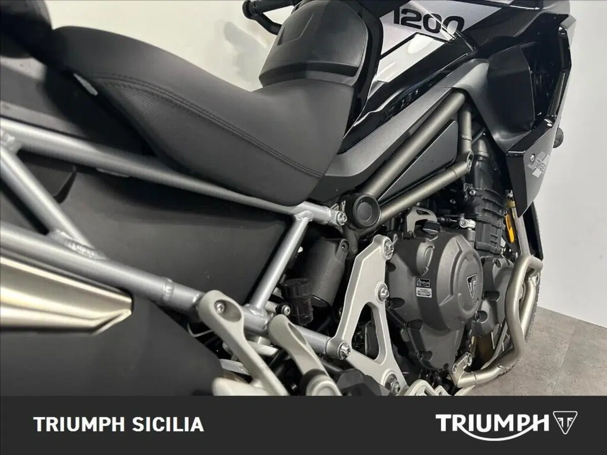 Triumph Tiger 1200 Rally Pro (2024 - 26) (18)