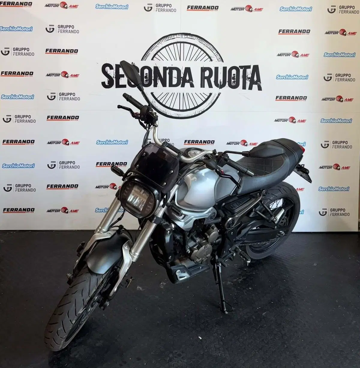 Voge Trofeo 300ACX Scrambler (2021 - 26) (3)